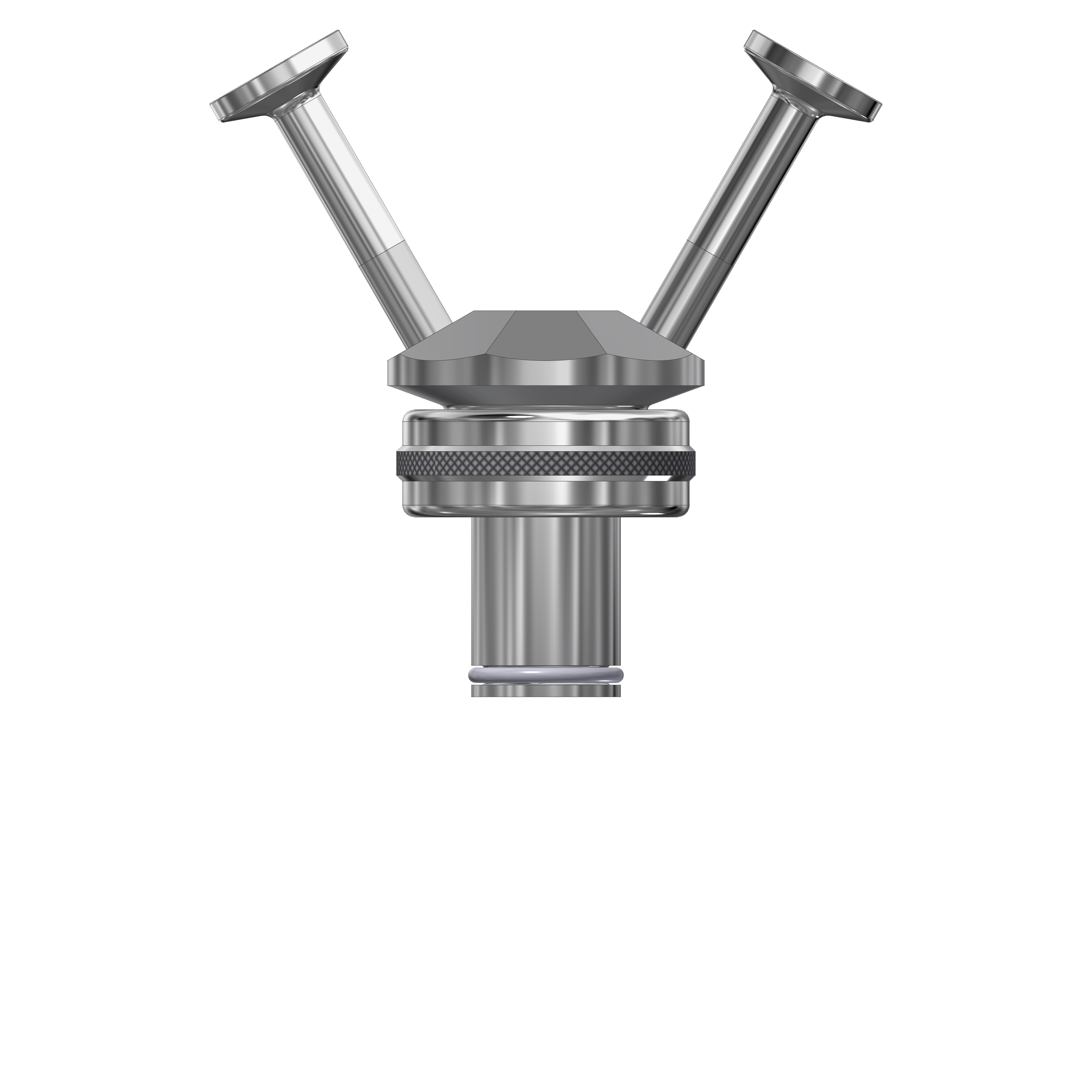 Ingold bodies - double port