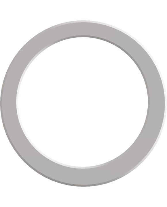 10 PACK GASKET (250-2000 ml PP BOTTLES)