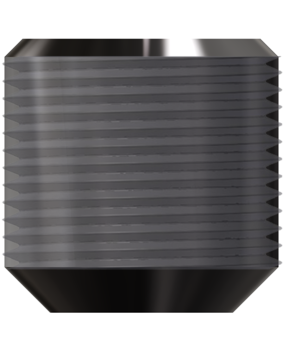 PINOL SCREW F/W9 HEAD