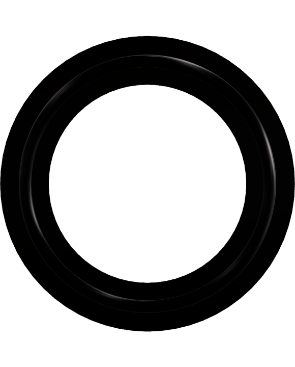GASKET 1" CLAMP EPDM