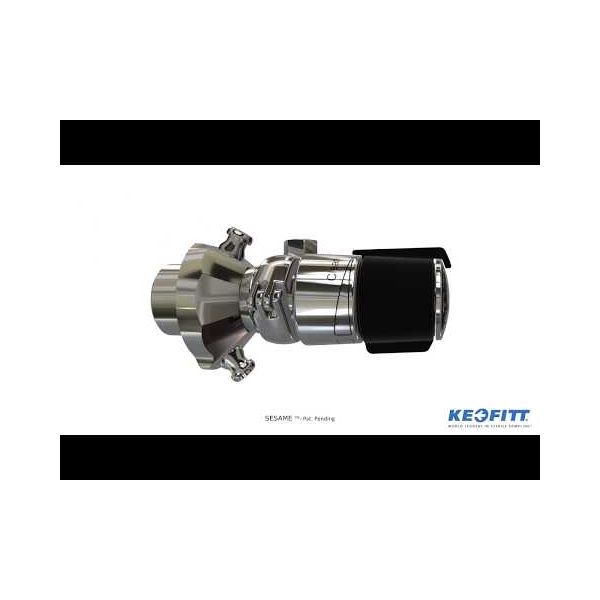 SESAME BODY TYPE C1" ASME/DIN Image 