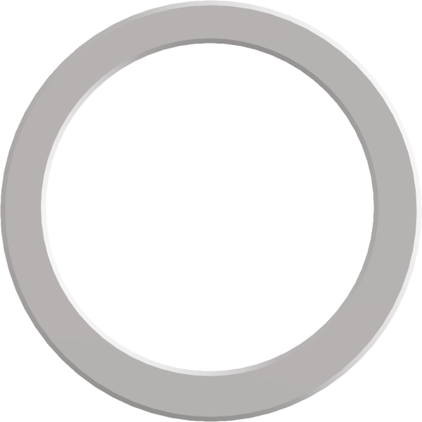 10 PACK GASKET (4000/5000 ml PP BOTTLES) Image 
