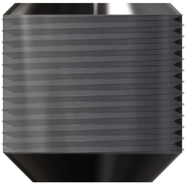PINOL SCREW F/W9 HEAD Image 