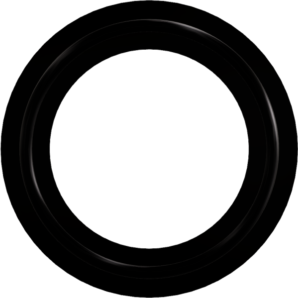 GASKET 1" CLAMP EPDM Image 